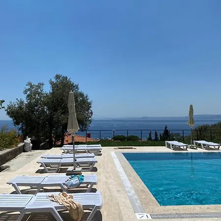Assos Luna