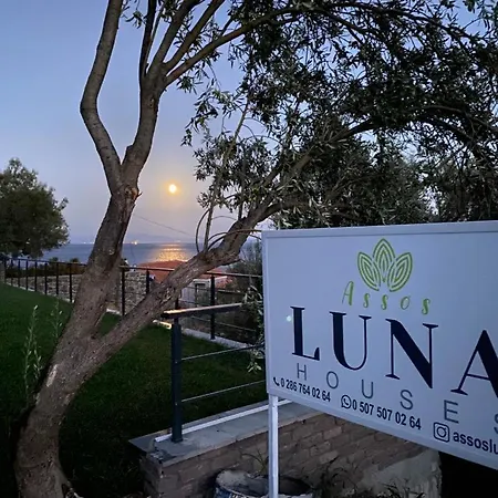 Assos Luna